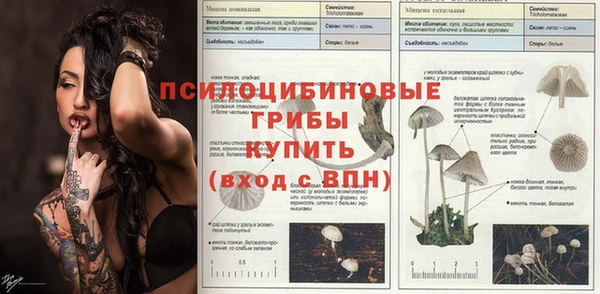 первитин Абаза