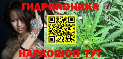сатива Бугуруслан