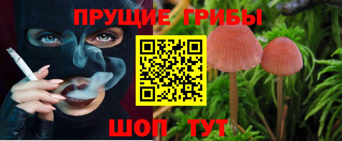 Псилоцибиновые грибы Cubensis  Вход с VPN  Псилоцибиновые грибы Cubensis  Новочебоксарск 